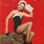playboy pinup cover